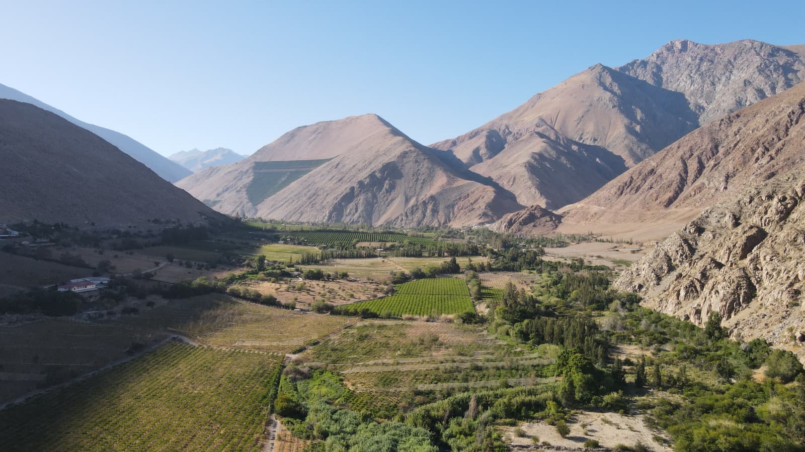 Viñedos y cultivos verdes en el fondo del Valle de Elqui, entre cerros de tonos rojizos.