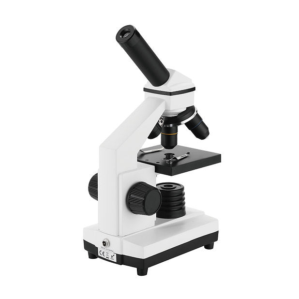 Microscopio BM-42XT – Observación Digital y Analógica para Educación Científica