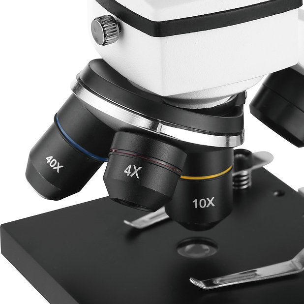 Microscopio BM-42XT – Observación Digital y Analógica para Educación Científica