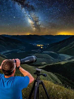 LIGHT SEEKER