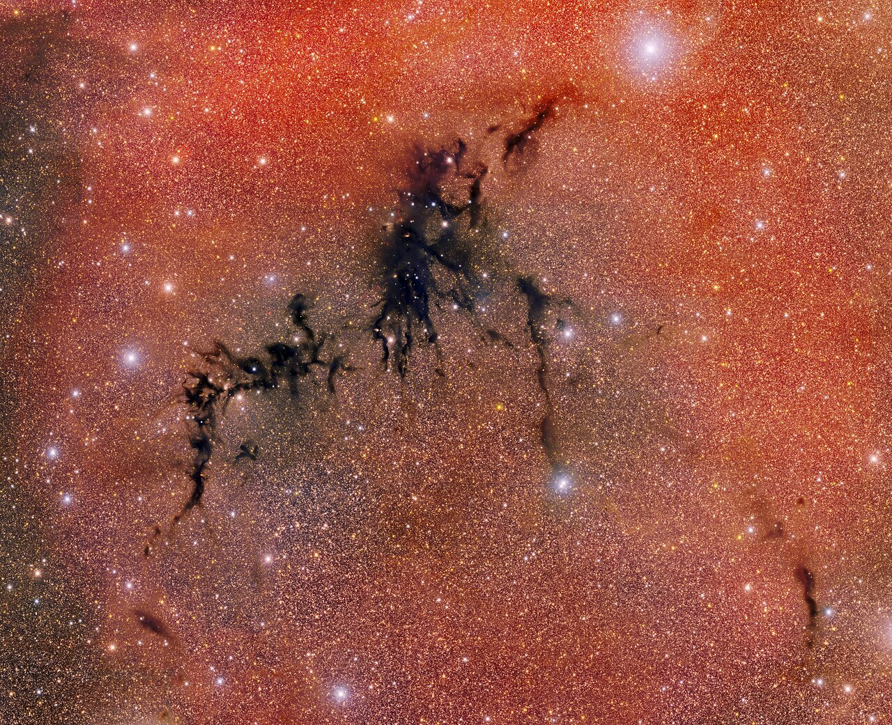 Actualmente estás viendo Science Release: Desde Chile capturan un nido estelar escondido en una oscura nebulosa